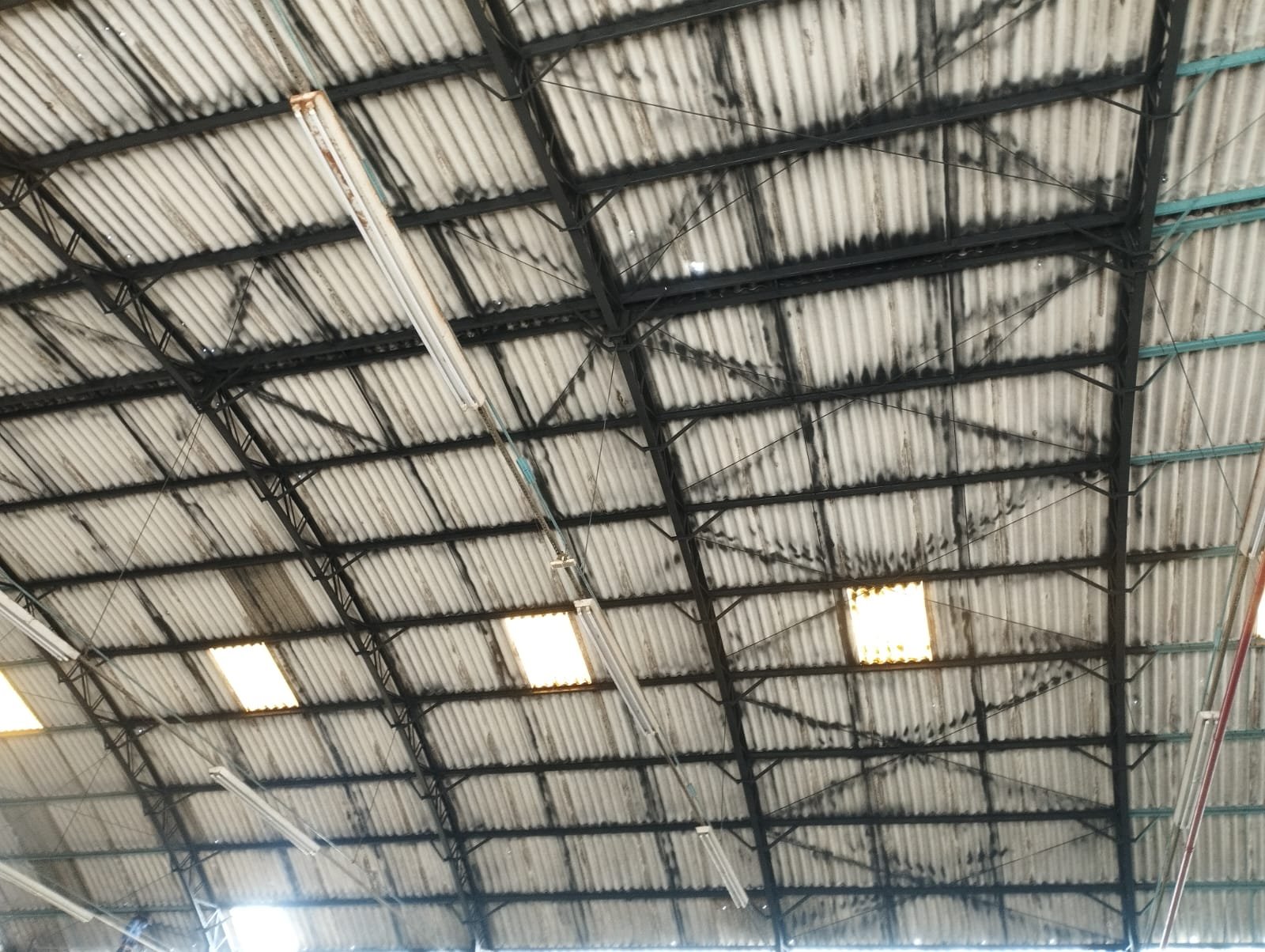 WhatsApp Image 2024-04-10 at 13.21.58 (1)